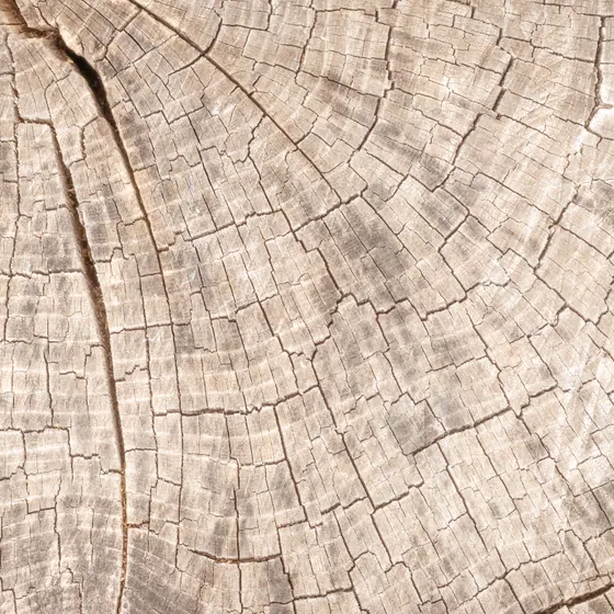 Texture d’habillage effet bois beige naturel