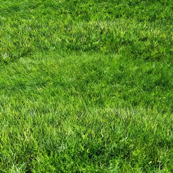 Texture d’habillage effet gazon vert
